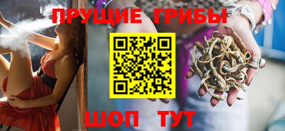 Галлюциногенные грибы Cubensis Нижнеудинск