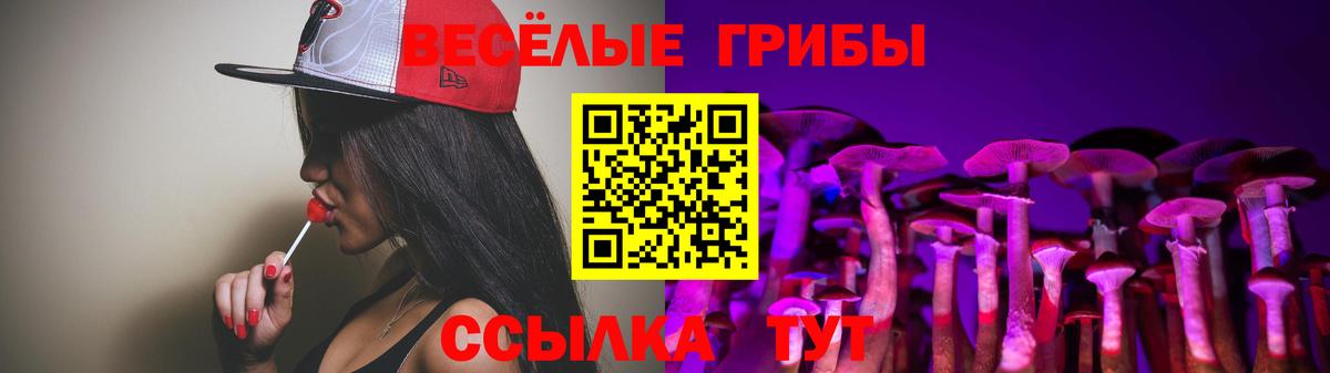Псилоцибиновые грибы Psilocybine cubensis  Вход с VPN  Нижнеудинск 